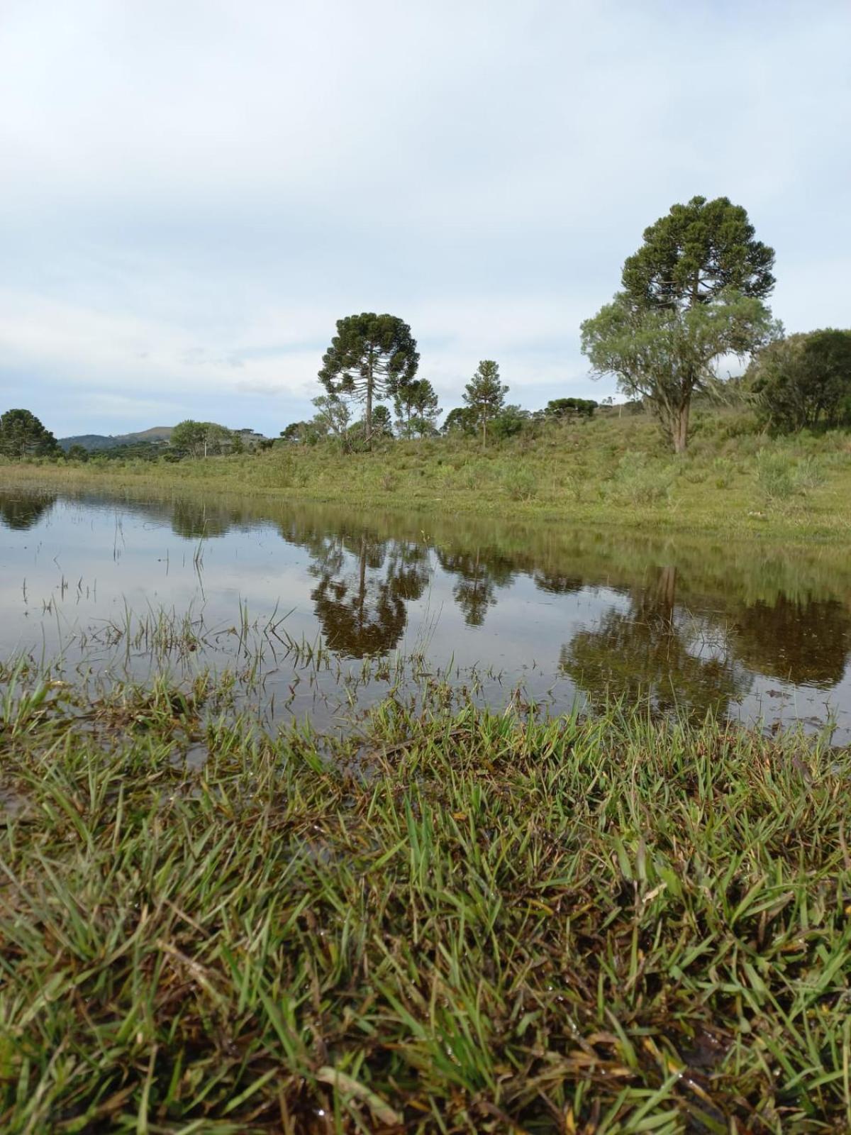 Lodge Recanto Da Cascata - Platano