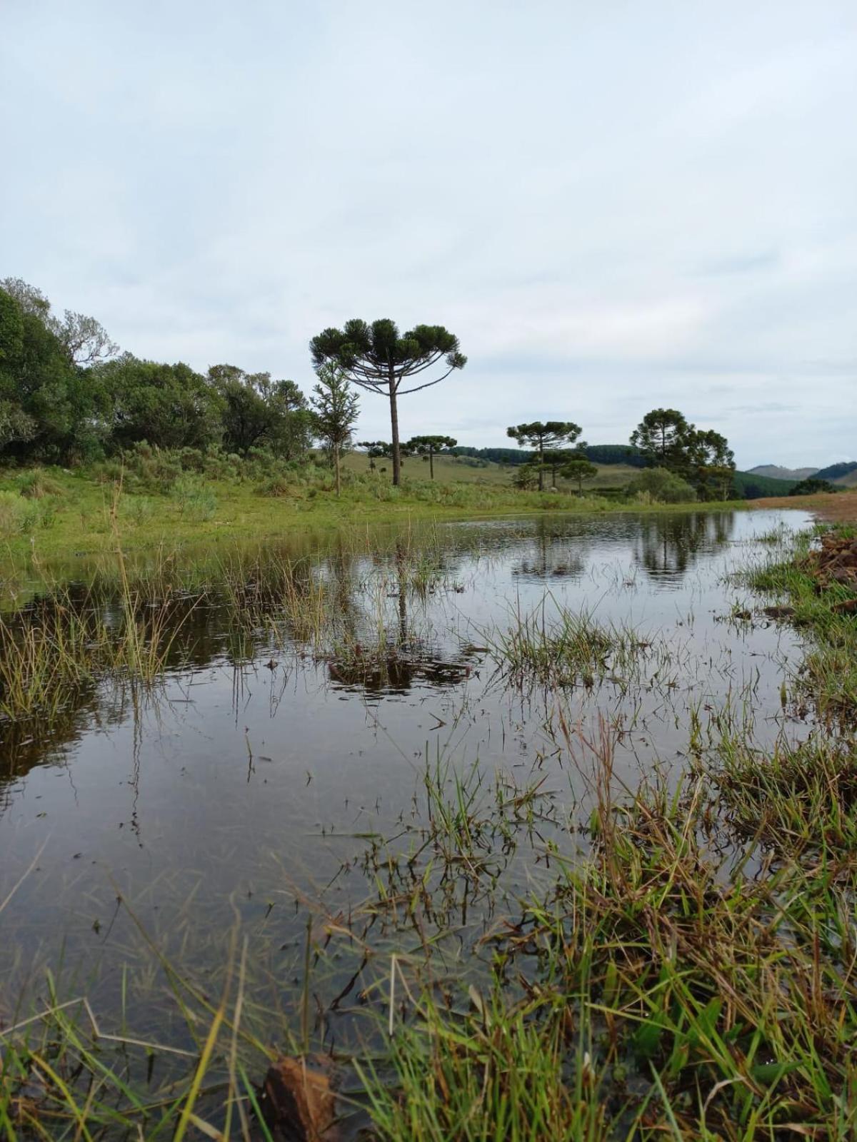 Recanto Da Cascata - Platano Sao Joaquim (Santa Catarina)