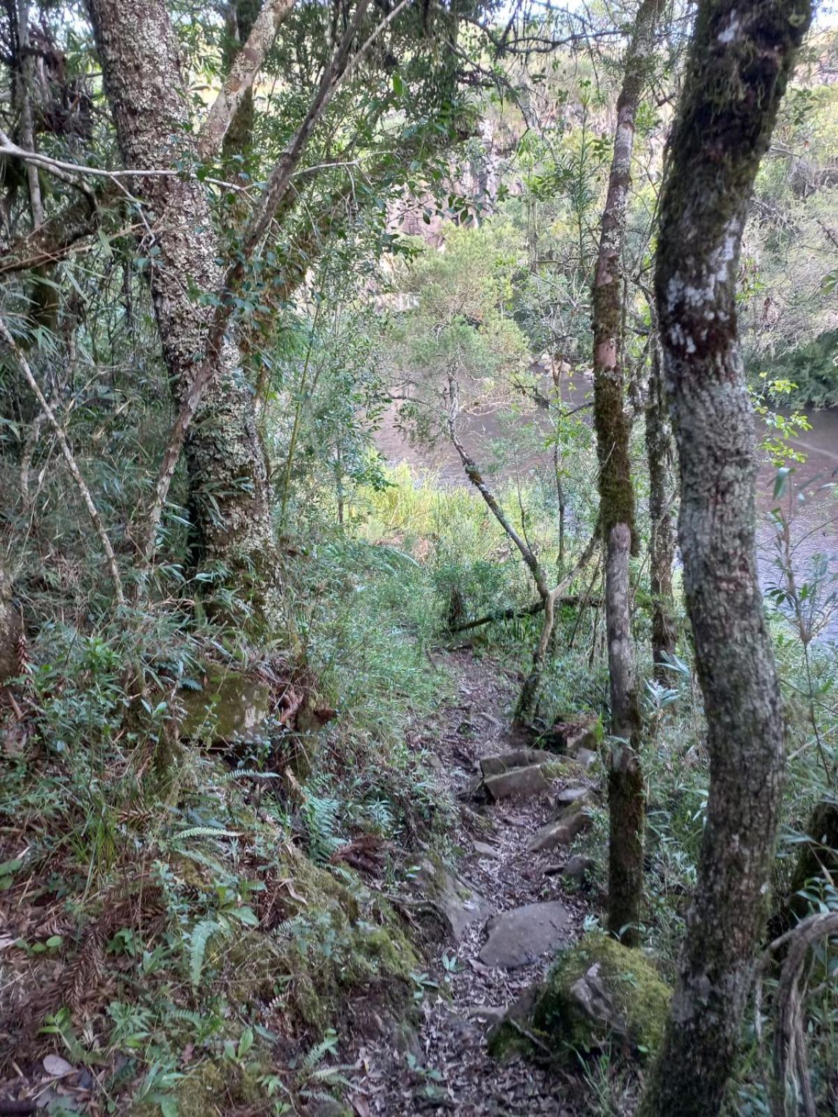 Recanto Da Cascata - Platano Lodge