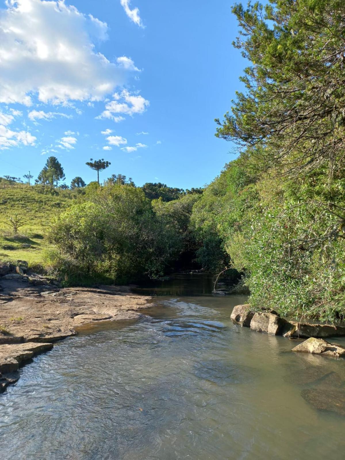 Recanto Da Cascata - Platano *